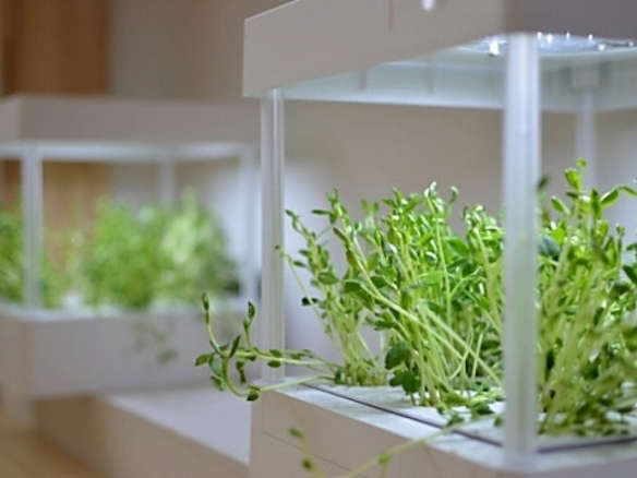 10 Easy Pieces: Grow Lights for Indoor Plants