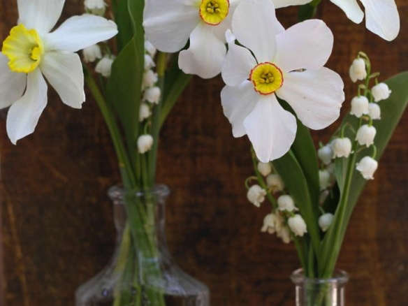 Bouquet of the Week: Posies of Lily of the Valley