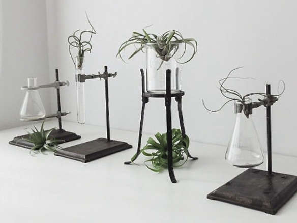10 Easy Pieces: Labware Plant Stands