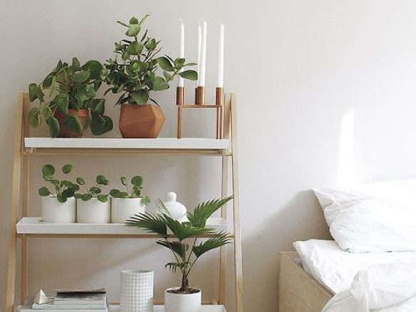 10 Easy Pieces: Stepladder Plant Stands