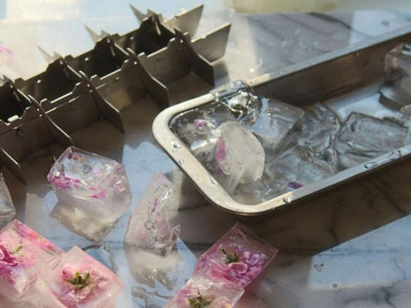 Onyx ice cube tray