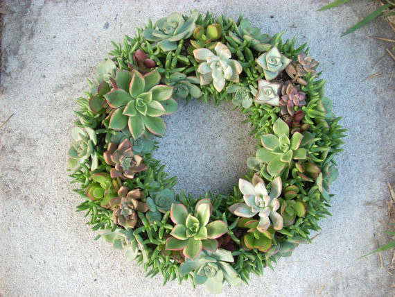 Succulent Wreath Kit 12-in. dia.