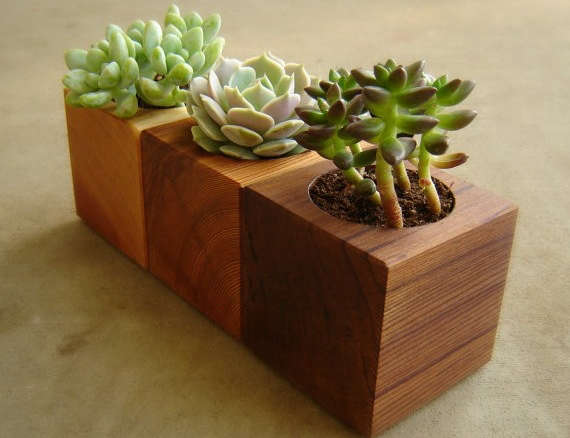 Cedar Succulent Pot