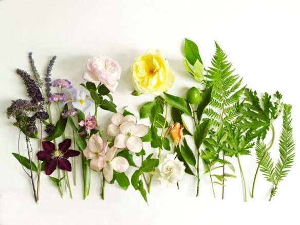 $450 Gardenista Giveaway: True Nature Botanicals