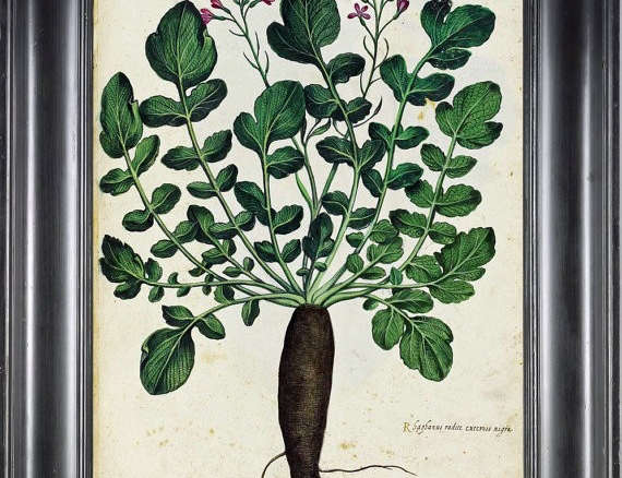Italian Vegetable Print