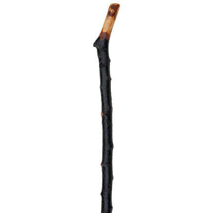 Handmade Rustic Blackthorn Stick