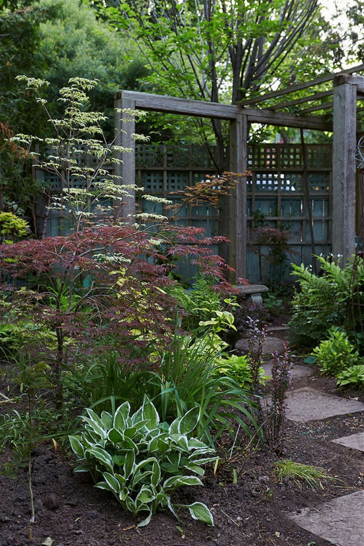 10 Garden Ideas to Steal from Canada - Gardenista