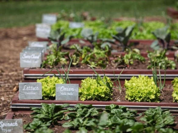 10 Garden Ideas to Steal from Michelle Obama