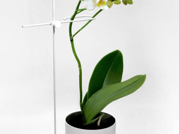 Yang:Ripol Orchid Pot
