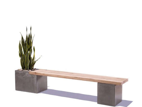 A Concrete Bench With a Side of Greenery