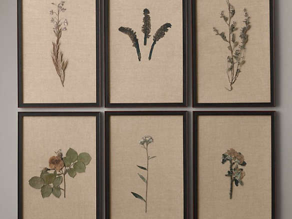 Hand-Pressed Botanicals on Linen Ivory