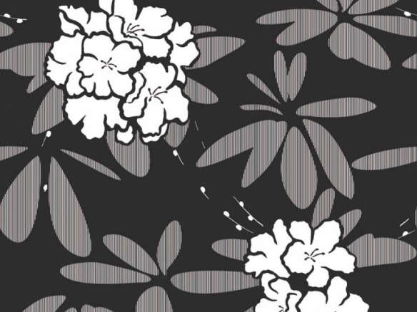 Rhododendron – Black