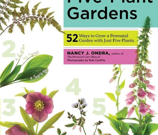 Five-Plant Gardens : Nancy J. Ondra