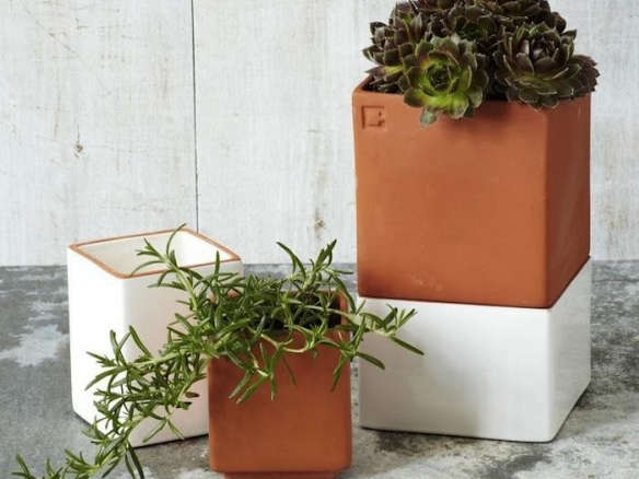 Evergreen Self Watering Herb Pot