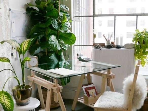Steal This Look: A Sunny Work Studio (Fiddle Leaf Fig Included)