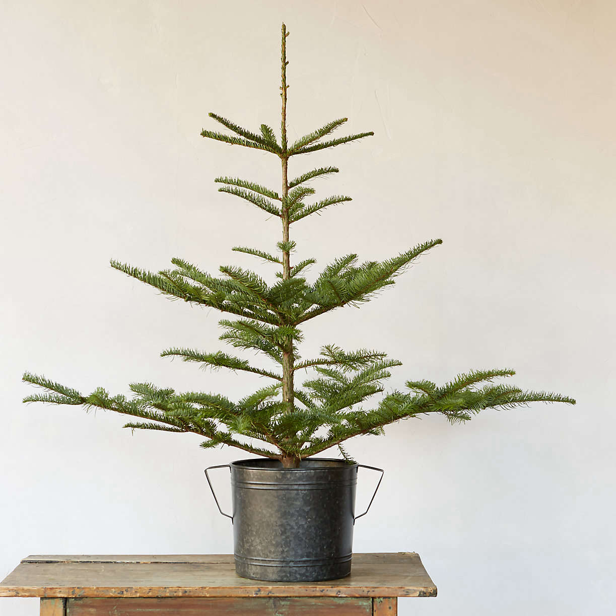 10 Easy Pieces: Tabletop Christmas Trees - Gardenista