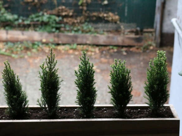 Small Space DIY: Tiny Trees for a Winter Window Box