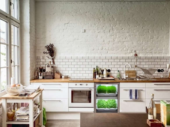 Eat-in Kitchen: An Undercounter Herb Garden