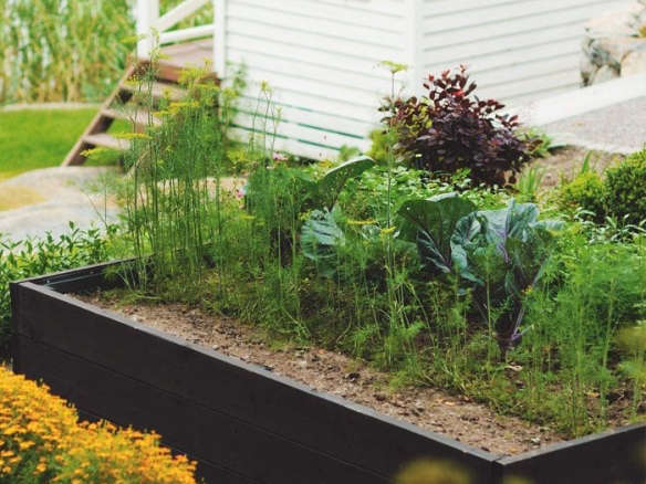 Trend Alert: Black-Stained Raised Beds