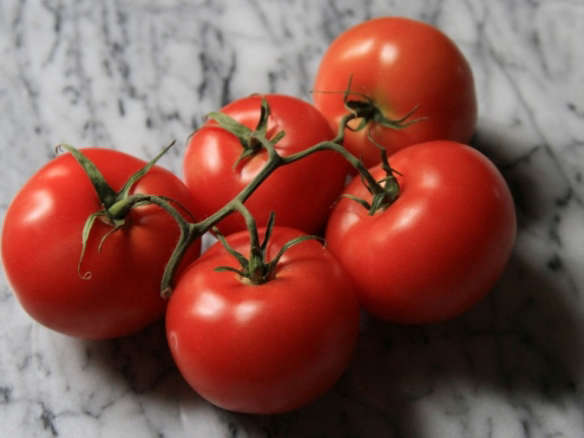 An Edible Winter Tomato: Does It Exist?
