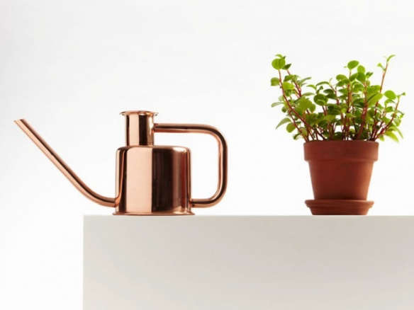 Gift Guide: For the Houseplant Enthusiast