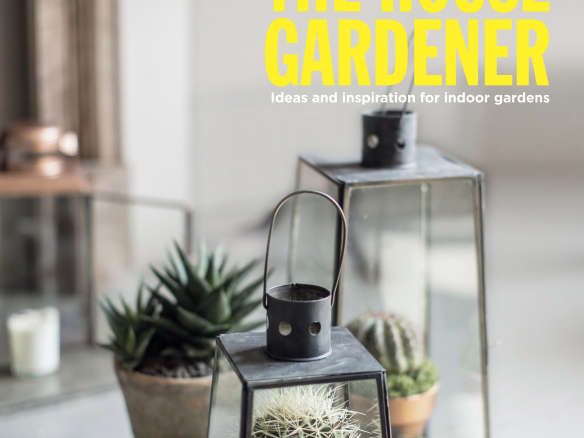 The House Gardener: The Balcony Gardener Heads Indoors!