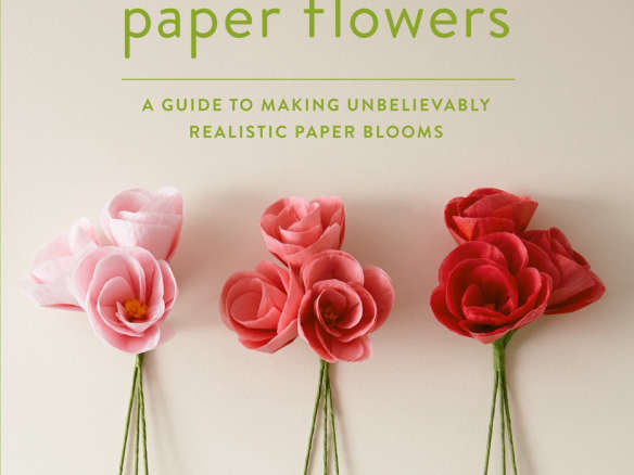 The Exquisite Book of Paper Flowers : Livia Cetti