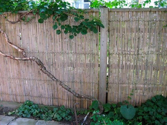 Bamboo Good Neighbor Fence