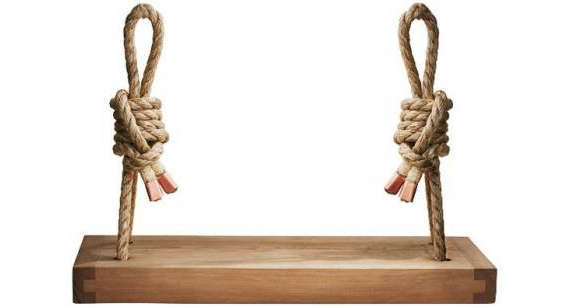 Handmade Cedar Wood Rope Swing