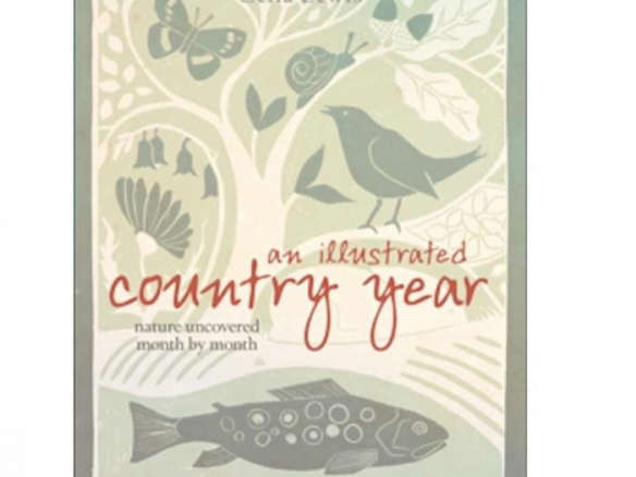 An Illustrated Country Year