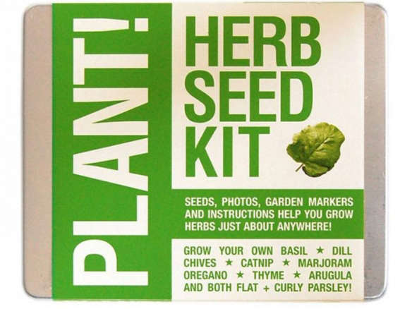 The PLANT Herb Seed Kit