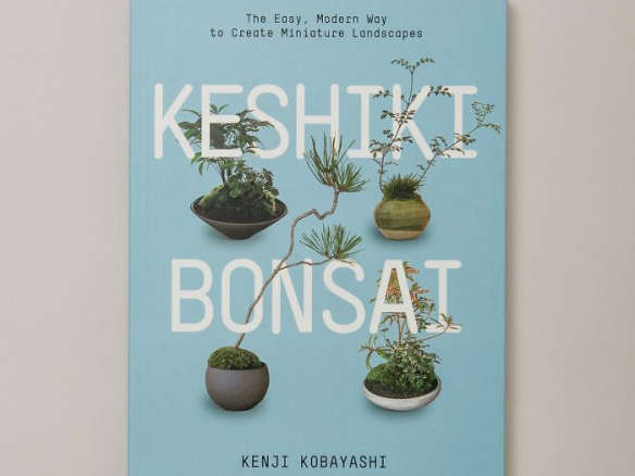 Keshiki Bonsai