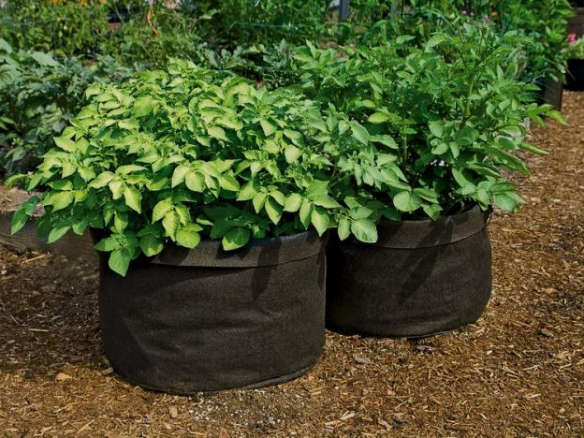 Jumbo Potato Grow Bags