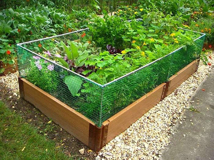Raised Garden Bed Rabbit Fence, Vegetable Garden Fence Ideas Rabbits