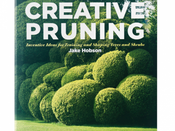 The Art Of Creative Pruning