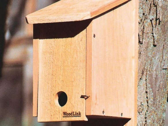WoodLink ROOST Winter Roosting Box