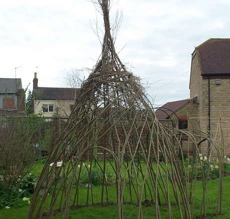 Living Willow Arches