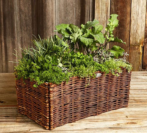 Natural Willow Vegetable Planter