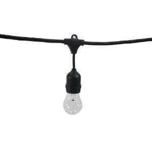 Outdoor Commercial String Lights