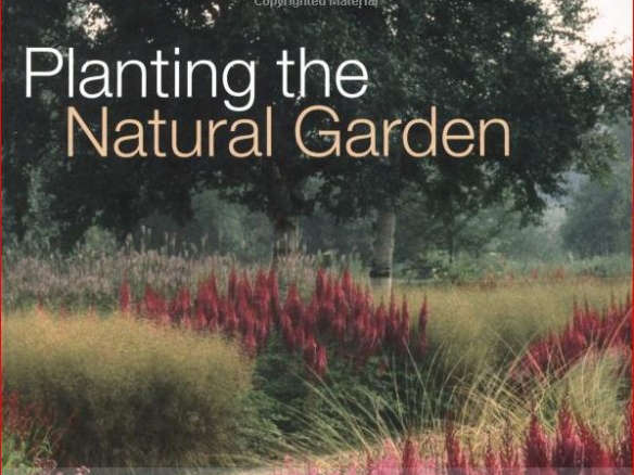 Planting the Natural Garden