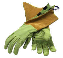 The Pallina Glove