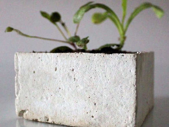 All-in-One: Concrete Garden in a Box