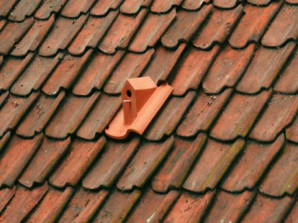 Up on the Roof: A Red Tile Birdhouse