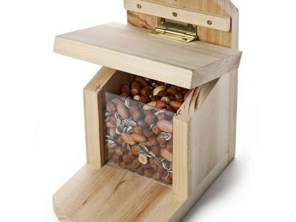 Squirrel Feeders for the Backyard