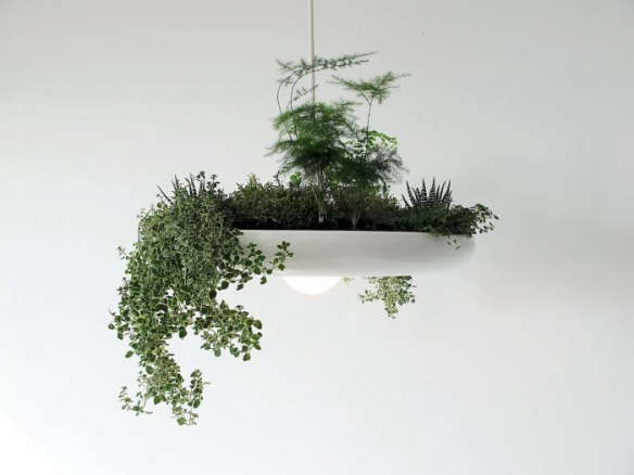 From Canada, a Chandelier That’s Also an Herb Garden
