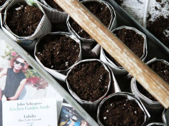 DIY Seed Starting: Newspaper Pots