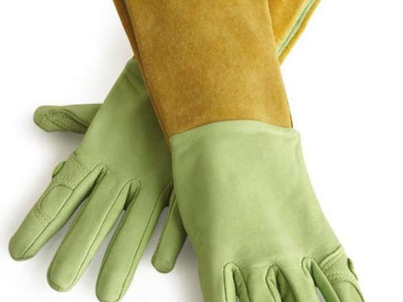 High/Low: The Dirt on Gardening Gloves