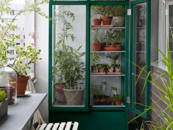 Urban Gardener: A Greenhouse for Your Balcony