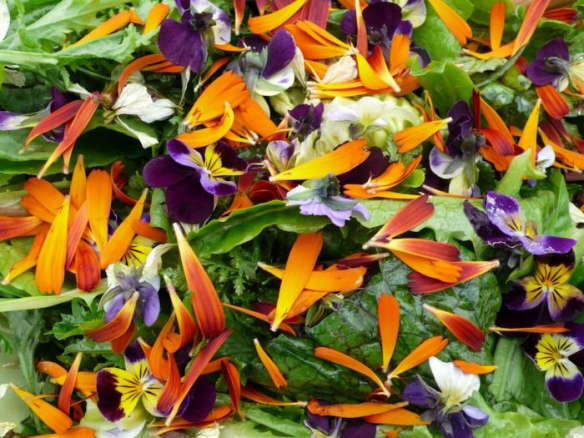 DIY: Add Edible Flowers to Your Salad