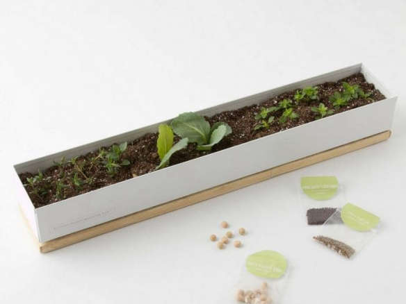 Windowsill Garden: Seed Sprouting Kit